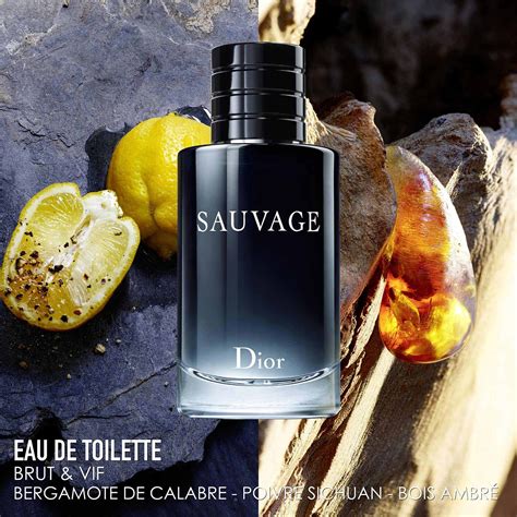 dior sauvage de toilette|sauvage dior sephora.